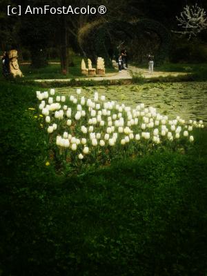 [P25]  -- <small>// FĂRĂ DESCRIERE</small> » foto by Cristian_h
 - 
<span class="allrVoted glyphicon glyphicon-heart hidden" id="av1524777"></span>
<a class="m-l-10 hidden" id="sv1524777" onclick="voting_Foto_DelVot(,1524777,2510)" role="button">șterge vot <span class="glyphicon glyphicon-remove"></span></a>
<a id="v91524777" class=" c-red"  onclick="voting_Foto_SetVot(1524777)" role="button"><span class="glyphicon glyphicon-heart-empty"></span> <b>LIKE</b> = Votează poza</a> <img class="hidden"  id="f1524777W9" src="/imagini/loader.gif" border="0" /><span class="AjErrMes hidden" id="e1524777ErM"></span>