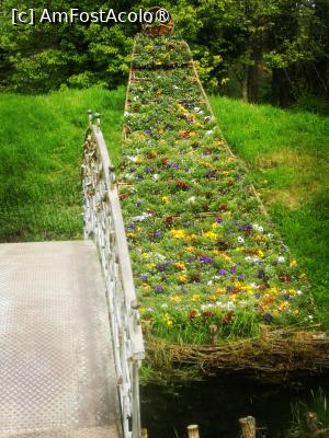 [P30]  -- <small>// FĂRĂ DESCRIERE</small> » foto by Cristian_h
 - 
<span class="allrVoted glyphicon glyphicon-heart hidden" id="av1524782"></span>
<a class="m-l-10 hidden" id="sv1524782" onclick="voting_Foto_DelVot(,1524782,2510)" role="button">șterge vot <span class="glyphicon glyphicon-remove"></span></a>
<a id="v91524782" class=" c-red"  onclick="voting_Foto_SetVot(1524782)" role="button"><span class="glyphicon glyphicon-heart-empty"></span> <b>LIKE</b> = Votează poza</a> <img class="hidden"  id="f1524782W9" src="/imagini/loader.gif" border="0" /><span class="AjErrMes hidden" id="e1524782ErM"></span>