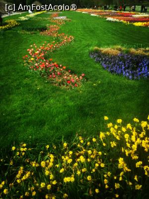 [P04]  -- <small>// FĂRĂ DESCRIERE</small> » foto by Cristian_h
 - 
<span class="allrVoted glyphicon glyphicon-heart hidden" id="av1524756"></span>
<a class="m-l-10 hidden" id="sv1524756" onclick="voting_Foto_DelVot(,1524756,2510)" role="button">șterge vot <span class="glyphicon glyphicon-remove"></span></a>
<a id="v91524756" class=" c-red"  onclick="voting_Foto_SetVot(1524756)" role="button"><span class="glyphicon glyphicon-heart-empty"></span> <b>LIKE</b> = Votează poza</a> <img class="hidden"  id="f1524756W9" src="/imagini/loader.gif" border="0" /><span class="AjErrMes hidden" id="e1524756ErM"></span>