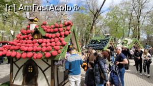 [P16] Târgul de Paște din Craiova 2025 » foto by vlado2
 - 
<span class="allrVoted glyphicon glyphicon-heart hidden" id="av1519689"></span>
<a class="m-l-10 hidden" id="sv1519689" onclick="voting_Foto_DelVot(,1519689,2510)" role="button">șterge vot <span class="glyphicon glyphicon-remove"></span></a>
<a id="v91519689" class=" c-red"  onclick="voting_Foto_SetVot(1519689)" role="button"><span class="glyphicon glyphicon-heart-empty"></span> <b>LIKE</b> = Votează poza</a> <img class="hidden"  id="f1519689W9" src="/imagini/loader.gif" border="0" /><span class="AjErrMes hidden" id="e1519689ErM"></span>