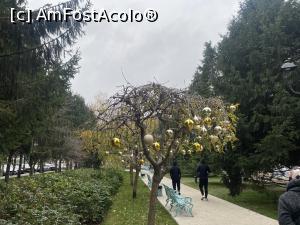 [P06] Craiova - Parcul Englez - frumos decorat » foto by mishu
 - 
<span class="allrVoted glyphicon glyphicon-heart hidden" id="av1344153"></span>
<a class="m-l-10 hidden" id="sv1344153" onclick="voting_Foto_DelVot(,1344153,2510)" role="button">șterge vot <span class="glyphicon glyphicon-remove"></span></a>
<a id="v91344153" class=" c-red"  onclick="voting_Foto_SetVot(1344153)" role="button"><span class="glyphicon glyphicon-heart-empty"></span> <b>LIKE</b> = Votează poza</a> <img class="hidden"  id="f1344153W9" src="/imagini/loader.gif" border="0" /><span class="AjErrMes hidden" id="e1344153ErM"></span>