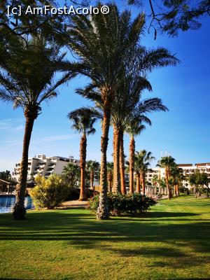 [P38] Teren golf » foto by cata2106
 - 
<span class="allrVoted glyphicon glyphicon-heart hidden" id="av1213533"></span>
<a class="m-l-10 hidden" id="sv1213533" onclick="voting_Foto_DelVot(,1213533,2513)" role="button">șterge vot <span class="glyphicon glyphicon-remove"></span></a>
<a id="v91213533" class=" c-red"  onclick="voting_Foto_SetVot(1213533)" role="button"><span class="glyphicon glyphicon-heart-empty"></span> <b>LIKE</b> = Votează poza</a> <img class="hidden"  id="f1213533W9" src="/imagini/loader.gif" border="0" /><span class="AjErrMes hidden" id="e1213533ErM"></span>