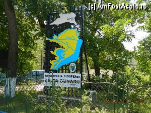 [P28]  -- <small>// FĂRĂ DESCRIERE</small> » foto by Paty
 - 
<span class="allrVoted glyphicon glyphicon-heart hidden" id="av432723"></span>
<a class="m-l-10 hidden" id="sv432723" onclick="voting_Foto_DelVot(,432723,2514)" role="button">șterge vot <span class="glyphicon glyphicon-remove"></span></a>
<a id="v9432723" class=" c-red"  onclick="voting_Foto_SetVot(432723)" role="button"><span class="glyphicon glyphicon-heart-empty"></span> <b>LIKE</b> = Votează poza</a> <img class="hidden"  id="f432723W9" src="/imagini/loader.gif" border="0" /><span class="AjErrMes hidden" id="e432723ErM"></span>