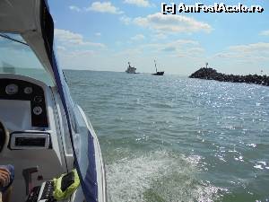 [P02]  -- <small>// FĂRĂ DESCRIERE</small> » foto by IULIU ANTAL
 - 
<span class="allrVoted glyphicon glyphicon-heart hidden" id="av674495"></span>
<a class="m-l-10 hidden" id="sv674495" onclick="voting_Foto_DelVot(,674495,2514)" role="button">șterge vot <span class="glyphicon glyphicon-remove"></span></a>
<a id="v9674495" class=" c-red"  onclick="voting_Foto_SetVot(674495)" role="button"><span class="glyphicon glyphicon-heart-empty"></span> <b>LIKE</b> = Votează poza</a> <img class="hidden"  id="f674495W9" src="/imagini/loader.gif" border="0" /><span class="AjErrMes hidden" id="e674495ErM"></span>