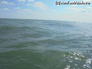 [P08]  -- <small>// FĂRĂ DESCRIERE</small> » foto by IULIU ANTAL
 - 
<span class="allrVoted glyphicon glyphicon-heart hidden" id="av674501"></span>
<a class="m-l-10 hidden" id="sv674501" onclick="voting_Foto_DelVot(,674501,2514)" role="button">șterge vot <span class="glyphicon glyphicon-remove"></span></a>
<a id="v9674501" class=" c-red"  onclick="voting_Foto_SetVot(674501)" role="button"><span class="glyphicon glyphicon-heart-empty"></span> <b>LIKE</b> = Votează poza</a> <img class="hidden"  id="f674501W9" src="/imagini/loader.gif" border="0" /><span class="AjErrMes hidden" id="e674501ErM"></span>