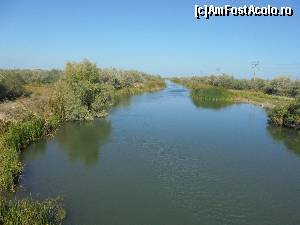 [P17]  -- <small>// FĂRĂ DESCRIERE</small> » foto by IULIU ANTAL
 - 
<span class="allrVoted glyphicon glyphicon-heart hidden" id="av675422"></span>
<a class="m-l-10 hidden" id="sv675422" onclick="voting_Foto_DelVot(,675422,2514)" role="button">șterge vot <span class="glyphicon glyphicon-remove"></span></a>
<a id="v9675422" class=" c-red"  onclick="voting_Foto_SetVot(675422)" role="button"><span class="glyphicon glyphicon-heart-empty"></span> <b>LIKE</b> = Votează poza</a> <img class="hidden"  id="f675422W9" src="/imagini/loader.gif" border="0" /><span class="AjErrMes hidden" id="e675422ErM"></span>