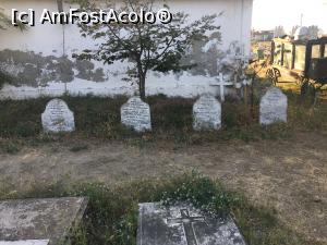 [P16] Mormintele marinarilor morți de malarie » foto by Yersinia Pestis
 - 
<span class="allrVoted glyphicon glyphicon-heart hidden" id="av1006971"></span>
<a class="m-l-10 hidden" id="sv1006971" onclick="voting_Foto_DelVot(,1006971,2514)" role="button">șterge vot <span class="glyphicon glyphicon-remove"></span></a>
<a id="v91006971" class=" c-red"  onclick="voting_Foto_SetVot(1006971)" role="button"><span class="glyphicon glyphicon-heart-empty"></span> <b>LIKE</b> = Votează poza</a> <img class="hidden"  id="f1006971W9" src="/imagini/loader.gif" border="0" /><span class="AjErrMes hidden" id="e1006971ErM"></span>