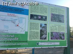 [P02] Sulina- Panoul de la intrarea-n Cimitir » foto by Yersinia Pestis
 - 
<span class="allrVoted glyphicon glyphicon-heart hidden" id="av1006957"></span>
<a class="m-l-10 hidden" id="sv1006957" onclick="voting_Foto_DelVot(,1006957,2514)" role="button">șterge vot <span class="glyphicon glyphicon-remove"></span></a>
<a id="v91006957" class=" c-red"  onclick="voting_Foto_SetVot(1006957)" role="button"><span class="glyphicon glyphicon-heart-empty"></span> <b>LIKE</b> = Votează poza</a> <img class="hidden"  id="f1006957W9" src="/imagini/loader.gif" border="0" /><span class="AjErrMes hidden" id="e1006957ErM"></span>