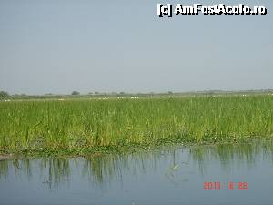 [P13]  -- <small>// FĂRĂ DESCRIERE</small> » foto by eadeea*
 - 
<span class="allrVoted glyphicon glyphicon-heart hidden" id="av496133"></span>
<a class="m-l-10 hidden" id="sv496133" onclick="voting_Foto_DelVot(,496133,2514)" role="button">șterge vot <span class="glyphicon glyphicon-remove"></span></a>
<a id="v9496133" class=" c-red"  onclick="voting_Foto_SetVot(496133)" role="button"><span class="glyphicon glyphicon-heart-empty"></span> <b>LIKE</b> = Votează poza</a> <img class="hidden"  id="f496133W9" src="/imagini/loader.gif" border="0" /><span class="AjErrMes hidden" id="e496133ErM"></span>