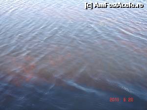 [P15]  -- <small>// FĂRĂ DESCRIERE</small> » foto by eadeea*
 - 
<span class="allrVoted glyphicon glyphicon-heart hidden" id="av496135"></span>
<a class="m-l-10 hidden" id="sv496135" onclick="voting_Foto_DelVot(,496135,2514)" role="button">șterge vot <span class="glyphicon glyphicon-remove"></span></a>
<a id="v9496135" class=" c-red"  onclick="voting_Foto_SetVot(496135)" role="button"><span class="glyphicon glyphicon-heart-empty"></span> <b>LIKE</b> = Votează poza</a> <img class="hidden"  id="f496135W9" src="/imagini/loader.gif" border="0" /><span class="AjErrMes hidden" id="e496135ErM"></span>