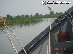 [P17]  -- <small>// FĂRĂ DESCRIERE</small> » foto by eadeea*
 - 
<span class="allrVoted glyphicon glyphicon-heart hidden" id="av496137"></span>
<a class="m-l-10 hidden" id="sv496137" onclick="voting_Foto_DelVot(,496137,2514)" role="button">șterge vot <span class="glyphicon glyphicon-remove"></span></a>
<a id="v9496137" class=" c-red"  onclick="voting_Foto_SetVot(496137)" role="button"><span class="glyphicon glyphicon-heart-empty"></span> <b>LIKE</b> = Votează poza</a> <img class="hidden"  id="f496137W9" src="/imagini/loader.gif" border="0" /><span class="AjErrMes hidden" id="e496137ErM"></span>