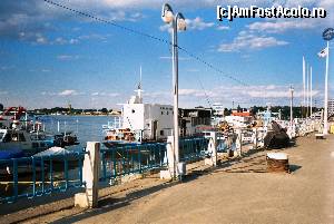 [P02]  -- <small>// FĂRĂ DESCRIERE</small> » foto by Tudor-Cristian
 - 
<span class="allrVoted glyphicon glyphicon-heart hidden" id="av558058"></span>
<a class="m-l-10 hidden" id="sv558058" onclick="voting_Foto_DelVot(,558058,2514)" role="button">șterge vot <span class="glyphicon glyphicon-remove"></span></a>
<a id="v9558058" class=" c-red"  onclick="voting_Foto_SetVot(558058)" role="button"><span class="glyphicon glyphicon-heart-empty"></span> <b>LIKE</b> = Votează poza</a> <img class="hidden"  id="f558058W9" src="/imagini/loader.gif" border="0" /><span class="AjErrMes hidden" id="e558058ErM"></span>