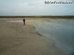 [P05] Lacul Sarat de pe drumul catre Padurea Letea » foto by cena
 - 
<span class="allrVoted glyphicon glyphicon-heart hidden" id="av659399"></span>
<a class="m-l-10 hidden" id="sv659399" onclick="voting_Foto_DelVot(,659399,2514)" role="button">șterge vot <span class="glyphicon glyphicon-remove"></span></a>
<a id="v9659399" class=" c-red"  onclick="voting_Foto_SetVot(659399)" role="button"><span class="glyphicon glyphicon-heart-empty"></span> <b>LIKE</b> = Votează poza</a> <img class="hidden"  id="f659399W9" src="/imagini/loader.gif" border="0" /><span class="AjErrMes hidden" id="e659399ErM"></span>