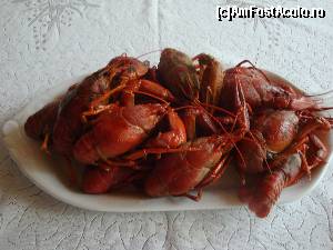 [P14]  -- <small>// FĂRĂ DESCRIERE</small> » foto by nitul
 - 
<span class="allrVoted glyphicon glyphicon-heart hidden" id="av680057"></span>
<a class="m-l-10 hidden" id="sv680057" onclick="voting_Foto_DelVot(,680057,2514)" role="button">șterge vot <span class="glyphicon glyphicon-remove"></span></a>
<a id="v9680057" class=" c-red"  onclick="voting_Foto_SetVot(680057)" role="button"><span class="glyphicon glyphicon-heart-empty"></span> <b>LIKE</b> = Votează poza</a> <img class="hidden"  id="f680057W9" src="/imagini/loader.gif" border="0" /><span class="AjErrMes hidden" id="e680057ErM"></span>