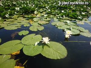 [P02]  -- <small>// FĂRĂ DESCRIERE</small> » foto by nitul
 - 
<span class="allrVoted glyphicon glyphicon-heart hidden" id="av680045"></span>
<a class="m-l-10 hidden" id="sv680045" onclick="voting_Foto_DelVot(,680045,2514)" role="button">șterge vot <span class="glyphicon glyphicon-remove"></span></a>
<a id="v9680045" class=" c-red"  onclick="voting_Foto_SetVot(680045)" role="button"><span class="glyphicon glyphicon-heart-empty"></span> <b>LIKE</b> = Votează poza</a> <img class="hidden"  id="f680045W9" src="/imagini/loader.gif" border="0" /><span class="AjErrMes hidden" id="e680045ErM"></span>