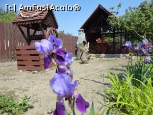 [P14]  -- <small>// FĂRĂ DESCRIERE</small> » foto by Rockstar* <span class="label label-default labelC_thin small">NEVOTABILĂ</span>