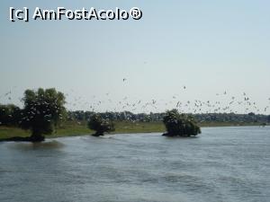 [P02]  -- <small>// FĂRĂ DESCRIERE</small> » foto by Rockstar*
 - 
<span class="allrVoted glyphicon glyphicon-heart hidden" id="av759653"></span>
<a class="m-l-10 hidden" id="sv759653" onclick="voting_Foto_DelVot(,759653,2514)" role="button">șterge vot <span class="glyphicon glyphicon-remove"></span></a>
<a id="v9759653" class=" c-red"  onclick="voting_Foto_SetVot(759653)" role="button"><span class="glyphicon glyphicon-heart-empty"></span> <b>LIKE</b> = Votează poza</a> <img class="hidden"  id="f759653W9" src="/imagini/loader.gif" border="0" /><span class="AjErrMes hidden" id="e759653ErM"></span>