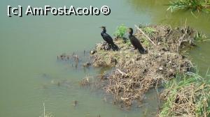 [P03]  -- <small>// FĂRĂ DESCRIERE</small> » foto by Rockstar*
 - 
<span class="allrVoted glyphicon glyphicon-heart hidden" id="av759659"></span>
<a class="m-l-10 hidden" id="sv759659" onclick="voting_Foto_DelVot(,759659,2514)" role="button">șterge vot <span class="glyphicon glyphicon-remove"></span></a>
<a id="v9759659" class=" c-red"  onclick="voting_Foto_SetVot(759659)" role="button"><span class="glyphicon glyphicon-heart-empty"></span> <b>LIKE</b> = Votează poza</a> <img class="hidden"  id="f759659W9" src="/imagini/loader.gif" border="0" /><span class="AjErrMes hidden" id="e759659ErM"></span>