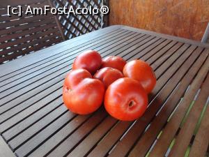 [P04] Rosii bio :)  » foto by Rockstar*
 - 
<span class="allrVoted glyphicon glyphicon-heart hidden" id="av759661"></span>
<a class="m-l-10 hidden" id="sv759661" onclick="voting_Foto_DelVot(,759661,2514)" role="button">șterge vot <span class="glyphicon glyphicon-remove"></span></a>
<a id="v9759661" class=" c-red"  onclick="voting_Foto_SetVot(759661)" role="button"><span class="glyphicon glyphicon-heart-empty"></span> <b>LIKE</b> = Votează poza</a> <img class="hidden"  id="f759661W9" src="/imagini/loader.gif" border="0" /><span class="AjErrMes hidden" id="e759661ErM"></span>