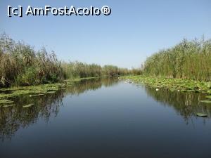 [P07]  -- <small>// FĂRĂ DESCRIERE</small> » foto by Rockstar*
 - 
<span class="allrVoted glyphicon glyphicon-heart hidden" id="av759685"></span>
<a class="m-l-10 hidden" id="sv759685" onclick="voting_Foto_DelVot(,759685,2514)" role="button">șterge vot <span class="glyphicon glyphicon-remove"></span></a>
<a id="v9759685" class=" c-red"  onclick="voting_Foto_SetVot(759685)" role="button"><span class="glyphicon glyphicon-heart-empty"></span> <b>LIKE</b> = Votează poza</a> <img class="hidden"  id="f759685W9" src="/imagini/loader.gif" border="0" /><span class="AjErrMes hidden" id="e759685ErM"></span>