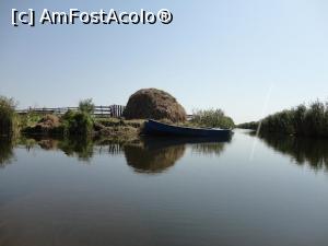 [P08]  -- <small>// FĂRĂ DESCRIERE</small> » foto by Rockstar*
 - 
<span class="allrVoted glyphicon glyphicon-heart hidden" id="av759688"></span>
<a class="m-l-10 hidden" id="sv759688" onclick="voting_Foto_DelVot(,759688,2514)" role="button">șterge vot <span class="glyphicon glyphicon-remove"></span></a>
<a id="v9759688" class=" c-red"  onclick="voting_Foto_SetVot(759688)" role="button"><span class="glyphicon glyphicon-heart-empty"></span> <b>LIKE</b> = Votează poza</a> <img class="hidden"  id="f759688W9" src="/imagini/loader.gif" border="0" /><span class="AjErrMes hidden" id="e759688ErM"></span>