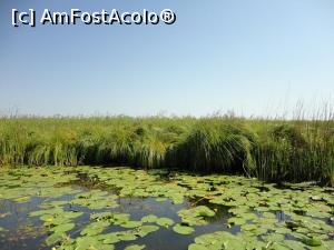 [P09]  -- <small>// FĂRĂ DESCRIERE</small> » foto by Rockstar*
 - 
<span class="allrVoted glyphicon glyphicon-heart hidden" id="av759690"></span>
<a class="m-l-10 hidden" id="sv759690" onclick="voting_Foto_DelVot(,759690,2514)" role="button">șterge vot <span class="glyphicon glyphicon-remove"></span></a>
<a id="v9759690" class=" c-red"  onclick="voting_Foto_SetVot(759690)" role="button"><span class="glyphicon glyphicon-heart-empty"></span> <b>LIKE</b> = Votează poza</a> <img class="hidden"  id="f759690W9" src="/imagini/loader.gif" border="0" /><span class="AjErrMes hidden" id="e759690ErM"></span>