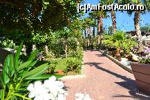 [P02] prin resort... plin de flori palmieri verdeata » foto by nela_loly*
 - 
<span class="allrVoted glyphicon glyphicon-heart hidden" id="av430898"></span>
<a class="m-l-10 hidden" id="sv430898" onclick="voting_Foto_DelVot(,430898,2569)" role="button">șterge vot <span class="glyphicon glyphicon-remove"></span></a>
<a id="v9430898" class=" c-red"  onclick="voting_Foto_SetVot(430898)" role="button"><span class="glyphicon glyphicon-heart-empty"></span> <b>LIKE</b> = Votează poza</a> <img class="hidden"  id="f430898W9" src="/imagini/loader.gif" border="0" /><span class="AjErrMes hidden" id="e430898ErM"></span>