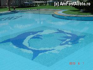 [P14] se vede cat era de curata apa piscinei, un pic poate prea mut clor » foto by hlli
 - 
<span class="allrVoted glyphicon glyphicon-heart hidden" id="av424972"></span>
<a class="m-l-10 hidden" id="sv424972" onclick="voting_Foto_DelVot(,424972,2570)" role="button">șterge vot <span class="glyphicon glyphicon-remove"></span></a>
<a id="v9424972" class=" c-red"  onclick="voting_Foto_SetVot(424972)" role="button"><span class="glyphicon glyphicon-heart-empty"></span> <b>LIKE</b> = Votează poza</a> <img class="hidden"  id="f424972W9" src="/imagini/loader.gif" border="0" /><span class="AjErrMes hidden" id="e424972ErM"></span>