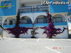 [P20] flori superbe ce ne incantau privirea, pacat ca eu nu sunt un bun fotograf, caci in realitate erau o minunatie acele flori » foto by hlli
 - 
<span class="allrVoted glyphicon glyphicon-heart hidden" id="av424978"></span>
<a class="m-l-10 hidden" id="sv424978" onclick="voting_Foto_DelVot(,424978,2570)" role="button">șterge vot <span class="glyphicon glyphicon-remove"></span></a>
<a id="v9424978" class=" c-red"  onclick="voting_Foto_SetVot(424978)" role="button"><span class="glyphicon glyphicon-heart-empty"></span> <b>LIKE</b> = Votează poza</a> <img class="hidden"  id="f424978W9" src="/imagini/loader.gif" border="0" /><span class="AjErrMes hidden" id="e424978ErM"></span>