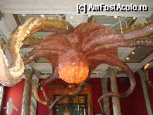 [P21] Muzeul de Oceanografie: Mulaj amplasat in holul principal. Taxa de intrare cca.18 euro. » foto by Visan125
 - 
<span class="allrVoted glyphicon glyphicon-heart hidden" id="av303374"></span>
<a class="m-l-10 hidden" id="sv303374" onclick="voting_Foto_DelVot(,303374,2586)" role="button">șterge vot <span class="glyphicon glyphicon-remove"></span></a>
<a id="v9303374" class=" c-red"  onclick="voting_Foto_SetVot(303374)" role="button"><span class="glyphicon glyphicon-heart-empty"></span> <b>LIKE</b> = Votează poza</a> <img class="hidden"  id="f303374W9" src="/imagini/loader.gif" border="0" /><span class="AjErrMes hidden" id="e303374ErM"></span>