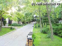 [P8x] multa verdeata » foto by lauraalexandru
 - 
<span class="allrVoted glyphicon glyphicon-heart hidden" id="av10368"></span>
<a class="m-l-10 hidden" id="sv10368" onclick="voting_Foto_DelVot(,10368,2598)" role="button">șterge vot <span class="glyphicon glyphicon-remove"></span></a>
<a id="v910368" class=" c-red"  onclick="voting_Foto_SetVot(10368)" role="button"><span class="glyphicon glyphicon-heart-empty"></span> <b>LIKE</b> = Votează poza</a> <img class="hidden"  id="f10368W9" src="/imagini/loader.gif" border="0" /><span class="AjErrMes hidden" id="e10368ErM"></span>