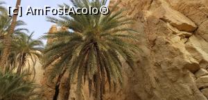 [P16] A doua vacanță în Tunisia – Chebika » foto by nicole33
 - 
<span class="allrVoted glyphicon glyphicon-heart hidden" id="av1239500"></span>
<a class="m-l-10 hidden" id="sv1239500" onclick="voting_Foto_DelVot(,1239500,2617)" role="button">șterge vot <span class="glyphicon glyphicon-remove"></span></a>
<a id="v91239500" class=" c-red"  onclick="voting_Foto_SetVot(1239500)" role="button"><span class="glyphicon glyphicon-heart-empty"></span> <b>LIKE</b> = Votează poza</a> <img class="hidden"  id="f1239500W9" src="/imagini/loader.gif" border="0" /><span class="AjErrMes hidden" id="e1239500ErM"></span>