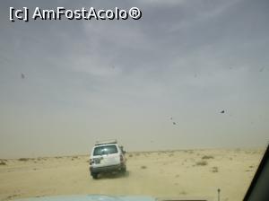 [P40] Cu avionul în Tunisia - jeep safari în deşert » foto by nicole33
 - 
<span class="allrVoted glyphicon glyphicon-heart hidden" id="av1078562"></span>
<a class="m-l-10 hidden" id="sv1078562" onclick="voting_Foto_DelVot(,1078562,2617)" role="button">șterge vot <span class="glyphicon glyphicon-remove"></span></a>
<a id="v91078562" class=" c-red"  onclick="voting_Foto_SetVot(1078562)" role="button"><span class="glyphicon glyphicon-heart-empty"></span> <b>LIKE</b> = Votează poza</a> <img class="hidden"  id="f1078562W9" src="/imagini/loader.gif" border="0" /><span class="AjErrMes hidden" id="e1078562ErM"></span>
