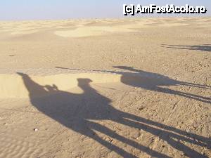 [P25] Calarind prin desert spre asfintit » foto by arru
 - 
<span class="allrVoted glyphicon glyphicon-heart hidden" id="av442931"></span>
<a class="m-l-10 hidden" id="sv442931" onclick="voting_Foto_DelVot(,442931,2617)" role="button">șterge vot <span class="glyphicon glyphicon-remove"></span></a>
<a id="v9442931" class=" c-red"  onclick="voting_Foto_SetVot(442931)" role="button"><span class="glyphicon glyphicon-heart-empty"></span> <b>LIKE</b> = Votează poza</a> <img class="hidden"  id="f442931W9" src="/imagini/loader.gif" border="0" /><span class="AjErrMes hidden" id="e442931ErM"></span>