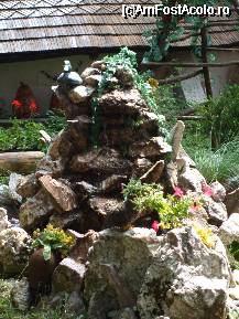 [P06]  -- <small>// FĂRĂ DESCRIERE</small> » foto by trandafir 1970*
 - 
<span class="allrVoted glyphicon glyphicon-heart hidden" id="av32424"></span>
<a class="m-l-10 hidden" id="sv32424" onclick="voting_Foto_DelVot(,32424,2622)" role="button">șterge vot <span class="glyphicon glyphicon-remove"></span></a>
<a id="v932424" class=" c-red"  onclick="voting_Foto_SetVot(32424)" role="button"><span class="glyphicon glyphicon-heart-empty"></span> <b>LIKE</b> = Votează poza</a> <img class="hidden"  id="f32424W9" src="/imagini/loader.gif" border="0" /><span class="AjErrMes hidden" id="e32424ErM"></span>