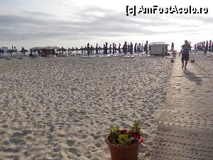 [P18]  -- <small>// FĂRĂ DESCRIERE</small> » foto by geta10
 - 
<span class="allrVoted glyphicon glyphicon-heart hidden" id="av435435"></span>
<a class="m-l-10 hidden" id="sv435435" onclick="voting_Foto_DelVot(,435435,2689)" role="button">șterge vot <span class="glyphicon glyphicon-remove"></span></a>
<a id="v9435435" class=" c-red"  onclick="voting_Foto_SetVot(435435)" role="button"><span class="glyphicon glyphicon-heart-empty"></span> <b>LIKE</b> = Votează poza</a> <img class="hidden"  id="f435435W9" src="/imagini/loader.gif" border="0" /><span class="AjErrMes hidden" id="e435435ErM"></span>