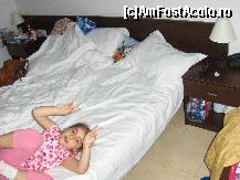 [P03]  -- <small>// FĂRĂ DESCRIERE</small> » foto by bigbrother
 - 
<span class="allrVoted glyphicon glyphicon-heart hidden" id="av242224"></span>
<a class="m-l-10 hidden" id="sv242224" onclick="voting_Foto_DelVot(,242224,2689)" role="button">șterge vot <span class="glyphicon glyphicon-remove"></span></a>
<a id="v9242224" class=" c-red"  onclick="voting_Foto_SetVot(242224)" role="button"><span class="glyphicon glyphicon-heart-empty"></span> <b>LIKE</b> = Votează poza</a> <img class="hidden"  id="f242224W9" src="/imagini/loader.gif" border="0" /><span class="AjErrMes hidden" id="e242224ErM"></span>