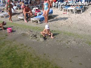 [P01] In imagine se vad algele din mare la plaja Hotelului Tomis Mamaia, 9 august 2013, la mal apa era foarte imputita.  » foto by kafer
 - 
<span class="allrVoted glyphicon glyphicon-heart hidden" id="av461077"></span>
<a class="m-l-10 hidden" id="sv461077" onclick="voting_Foto_DelVot(,461077,2689)" role="button">șterge vot <span class="glyphicon glyphicon-remove"></span></a>
<a id="v9461077" class=" c-red"  onclick="voting_Foto_SetVot(461077)" role="button"><span class="glyphicon glyphicon-heart-empty"></span> <b>LIKE</b> = Votează poza</a> <img class="hidden"  id="f461077W9" src="/imagini/loader.gif" border="0" /><span class="AjErrMes hidden" id="e461077ErM"></span>