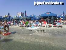 [P05]  -- <small>// FĂRĂ DESCRIERE</small> » foto by m_radoane
 - 
<span class="allrVoted glyphicon glyphicon-heart hidden" id="av111397"></span>
<a class="m-l-10 hidden" id="sv111397" onclick="voting_Foto_DelVot(,111397,2689)" role="button">șterge vot <span class="glyphicon glyphicon-remove"></span></a>
<a id="v9111397" class=" c-red"  onclick="voting_Foto_SetVot(111397)" role="button"><span class="glyphicon glyphicon-heart-empty"></span> <b>LIKE</b> = Votează poza</a> <img class="hidden"  id="f111397W9" src="/imagini/loader.gif" border="0" /><span class="AjErrMes hidden" id="e111397ErM"></span>