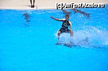 [P19] Loro Parque, dresura delfini » foto by redmari108
 - 
<span class="allrVoted glyphicon glyphicon-heart hidden" id="av290861"></span>
<a class="m-l-10 hidden" id="sv290861" onclick="voting_Foto_DelVot(,290861,2726)" role="button">șterge vot <span class="glyphicon glyphicon-remove"></span></a>
<a id="v9290861" class=" c-red"  onclick="voting_Foto_SetVot(290861)" role="button"><span class="glyphicon glyphicon-heart-empty"></span> <b>LIKE</b> = Votează poza</a> <img class="hidden"  id="f290861W9" src="/imagini/loader.gif" border="0" /><span class="AjErrMes hidden" id="e290861ErM"></span>