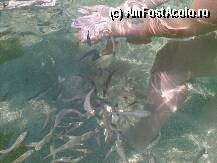 [P05] Imegini din croaziera la Toroneos( merita facuta) » foto by laurentiucapac
 - 
<span class="allrVoted glyphicon glyphicon-heart hidden" id="av12420"></span>
<a class="m-l-10 hidden" id="sv12420" onclick="voting_Foto_DelVot(,12420,2747)" role="button">șterge vot <span class="glyphicon glyphicon-remove"></span></a>
<a id="v912420" class=" c-red"  onclick="voting_Foto_SetVot(12420)" role="button"><span class="glyphicon glyphicon-heart-empty"></span> <b>LIKE</b> = Votează poza</a> <img class="hidden"  id="f12420W9" src="/imagini/loader.gif" border="0" /><span class="AjErrMes hidden" id="e12420ErM"></span>