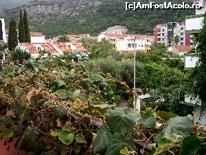 [P04] panorama de la balcon vila mirko » foto by ned
 - 
<span class="allrVoted glyphicon glyphicon-heart hidden" id="av626317"></span>
<a class="m-l-10 hidden" id="sv626317" onclick="voting_Foto_DelVot(,626317,2752)" role="button">șterge vot <span class="glyphicon glyphicon-remove"></span></a>
<a id="v9626317" class=" c-red"  onclick="voting_Foto_SetVot(626317)" role="button"><span class="glyphicon glyphicon-heart-empty"></span> <b>LIKE</b> = Votează poza</a> <img class="hidden"  id="f626317W9" src="/imagini/loader.gif" border="0" /><span class="AjErrMes hidden" id="e626317ErM"></span>