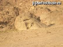 [P01] Natura ca sculptor: capul de leu în inima deşertului » foto by iris2010
 - 
<span class="allrVoted glyphicon glyphicon-heart hidden" id="av115565"></span>
<a class="m-l-10 hidden" id="sv115565" onclick="voting_Foto_DelVot(,115565,2768)" role="button">șterge vot <span class="glyphicon glyphicon-remove"></span></a>
<a id="v9115565" class=" c-red"  onclick="voting_Foto_SetVot(115565)" role="button"><span class="glyphicon glyphicon-heart-empty"></span> <b>LIKE</b> = Votează poza</a> <img class="hidden"  id="f115565W9" src="/imagini/loader.gif" border="0" /><span class="AjErrMes hidden" id="e115565ErM"></span>