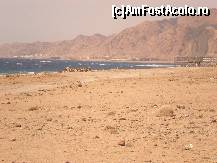 [P14] Pur şi simplu magic! » foto by iris2010
 - 
<span class="allrVoted glyphicon glyphicon-heart hidden" id="av117237"></span>
<a class="m-l-10 hidden" id="sv117237" onclick="voting_Foto_DelVot(,117237,2768)" role="button">șterge vot <span class="glyphicon glyphicon-remove"></span></a>
<a id="v9117237" class=" c-red"  onclick="voting_Foto_SetVot(117237)" role="button"><span class="glyphicon glyphicon-heart-empty"></span> <b>LIKE</b> = Votează poza</a> <img class="hidden"  id="f117237W9" src="/imagini/loader.gif" border="0" /><span class="AjErrMes hidden" id="e117237ErM"></span>