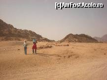 [P04] Nici aceştia nu cumpără nimic? » foto by iris2010
 - 
<span class="allrVoted glyphicon glyphicon-heart hidden" id="av117201"></span>
<a class="m-l-10 hidden" id="sv117201" onclick="voting_Foto_DelVot(,117201,2768)" role="button">șterge vot <span class="glyphicon glyphicon-remove"></span></a>
<a id="v9117201" class=" c-red"  onclick="voting_Foto_SetVot(117201)" role="button"><span class="glyphicon glyphicon-heart-empty"></span> <b>LIKE</b> = Votează poza</a> <img class="hidden"  id="f117201W9" src="/imagini/loader.gif" border="0" /><span class="AjErrMes hidden" id="e117201ErM"></span>