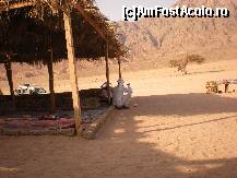 [P08] Supărat că nu şi-a vândut chinezeriilev omul deşertului ne-a întors spatele şi  a început tacticos să fumeze...Marlboro(printre noi se afla un domn care lucra în domeniul distribuţiei de ţigări şi au avut o conversaţie ,, consistentă' pe această temă).Observaţi paharul de Nescafe... » foto by iris2010
 - 
<span class="allrVoted glyphicon glyphicon-heart hidden" id="av117206"></span>
<a class="m-l-10 hidden" id="sv117206" onclick="voting_Foto_DelVot(,117206,2768)" role="button">șterge vot <span class="glyphicon glyphicon-remove"></span></a>
<a id="v9117206" class=" c-red"  onclick="voting_Foto_SetVot(117206)" role="button"><span class="glyphicon glyphicon-heart-empty"></span> <b>LIKE</b> = Votează poza</a> <img class="hidden"  id="f117206W9" src="/imagini/loader.gif" border="0" /><span class="AjErrMes hidden" id="e117206ErM"></span>