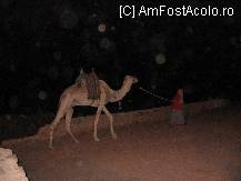 [P02] Mijlocul de locomotie preferat de pelerini » foto by pasarinda*
 - 
<span class="allrVoted glyphicon glyphicon-heart hidden" id="av94379"></span>
<a class="m-l-10 hidden" id="sv94379" onclick="voting_Foto_DelVot(,94379,2768)" role="button">șterge vot <span class="glyphicon glyphicon-remove"></span></a>
<a id="v994379" class=" c-red"  onclick="voting_Foto_SetVot(94379)" role="button"><span class="glyphicon glyphicon-heart-empty"></span> <b>LIKE</b> = Votează poza</a> <img class="hidden"  id="f94379W9" src="/imagini/loader.gif" border="0" /><span class="AjErrMes hidden" id="e94379ErM"></span>