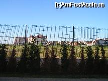 [P4x] Din terasa celei mai ieftine camere de la Miramar » foto by ionescunic
 - 
<span class="allrVoted glyphicon glyphicon-heart hidden" id="av35480"></span>
<a class="m-l-10 hidden" id="sv35480" onclick="voting_Foto_DelVot(,35480,2846)" role="button">șterge vot <span class="glyphicon glyphicon-remove"></span></a>
<a id="v935480" class=" c-red"  onclick="voting_Foto_SetVot(35480)" role="button"><span class="glyphicon glyphicon-heart-empty"></span> <b>LIKE</b> = Votează poza</a> <img class="hidden"  id="f35480W9" src="/imagini/loader.gif" border="0" /><span class="AjErrMes hidden" id="e35480ErM"></span>