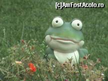 [P17] o broasca vesela! » foto by ciprian.marius*
 - 
<span class="allrVoted glyphicon glyphicon-heart hidden" id="av80827"></span>
<a class="m-l-10 hidden" id="sv80827" onclick="voting_Foto_DelVot(,80827,2846)" role="button">șterge vot <span class="glyphicon glyphicon-remove"></span></a>
<a id="v980827" class=" c-red"  onclick="voting_Foto_SetVot(80827)" role="button"><span class="glyphicon glyphicon-heart-empty"></span> <b>LIKE</b> = Votează poza</a> <img class="hidden"  id="f80827W9" src="/imagini/loader.gif" border="0" /><span class="AjErrMes hidden" id="e80827ErM"></span>