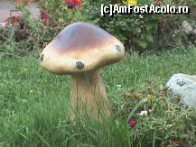 [P19] o ciuperca... necomestibila. pentru ca e din ipsos! » foto by ciprian.marius*
 - 
<span class="allrVoted glyphicon glyphicon-heart hidden" id="av80829"></span>
<a class="m-l-10 hidden" id="sv80829" onclick="voting_Foto_DelVot(,80829,2846)" role="button">șterge vot <span class="glyphicon glyphicon-remove"></span></a>
<a id="v980829" class=" c-red"  onclick="voting_Foto_SetVot(80829)" role="button"><span class="glyphicon glyphicon-heart-empty"></span> <b>LIKE</b> = Votează poza</a> <img class="hidden"  id="f80829W9" src="/imagini/loader.gif" border="0" /><span class="AjErrMes hidden" id="e80829ErM"></span>